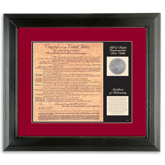 Birth of a Nation - Bill of Rights